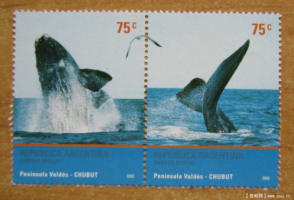阿根廷 瓦尔德斯岛【2002年发行】.jpg