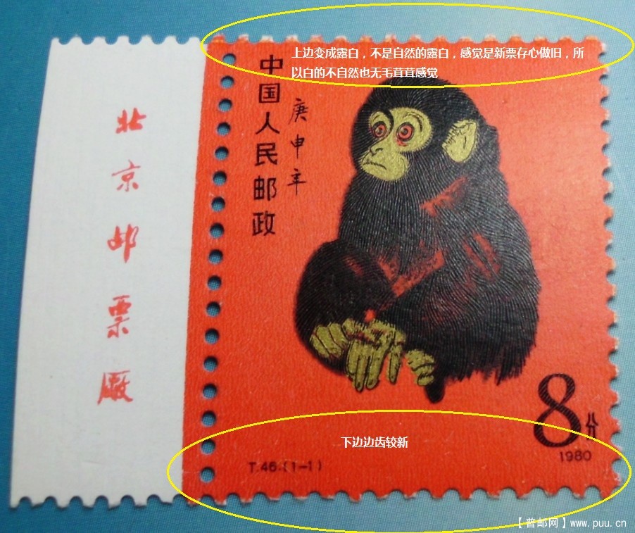 答案猴子鉴别6.jpg