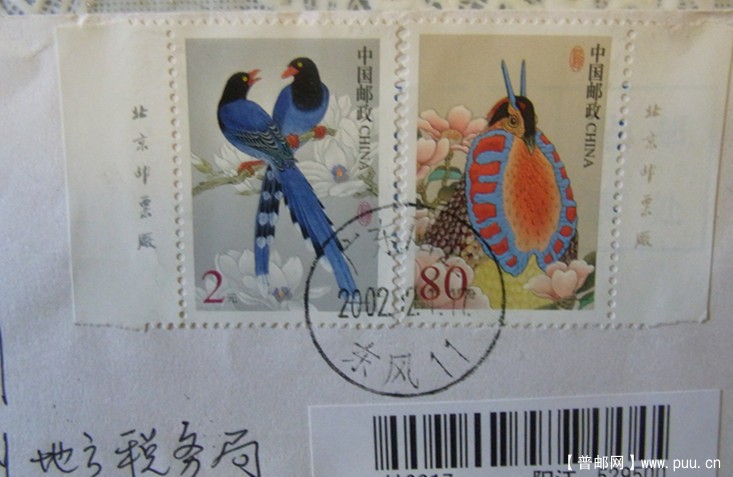 普31鸟八角2元双版铭挂号.jpg