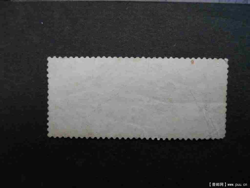 蹬伞错色背面 005.jpg