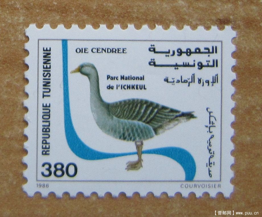 突尼斯 伊其克乌尔国家公园【1986年发行伊其克乌尔国家公园的灰雁】.jpg.jpg