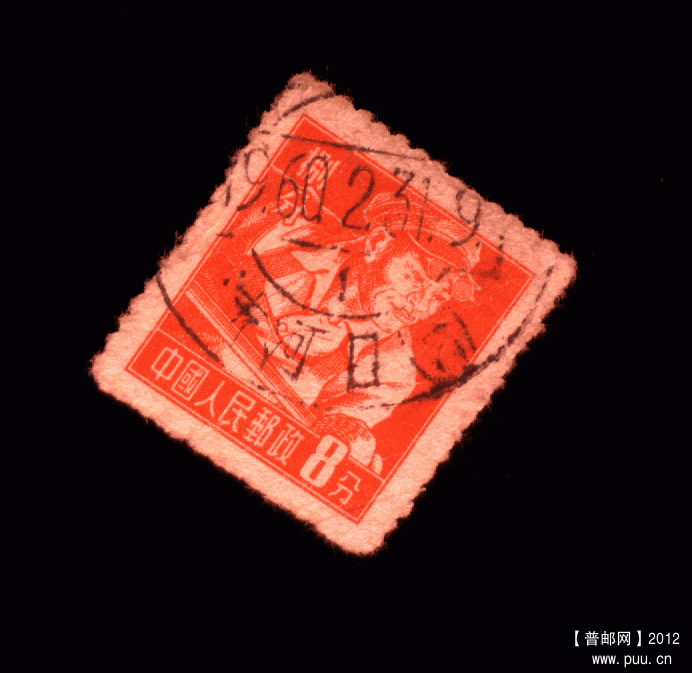 图像-145.gif
