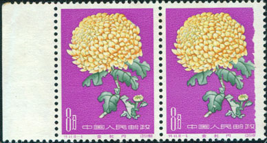 miss print f net.jpg