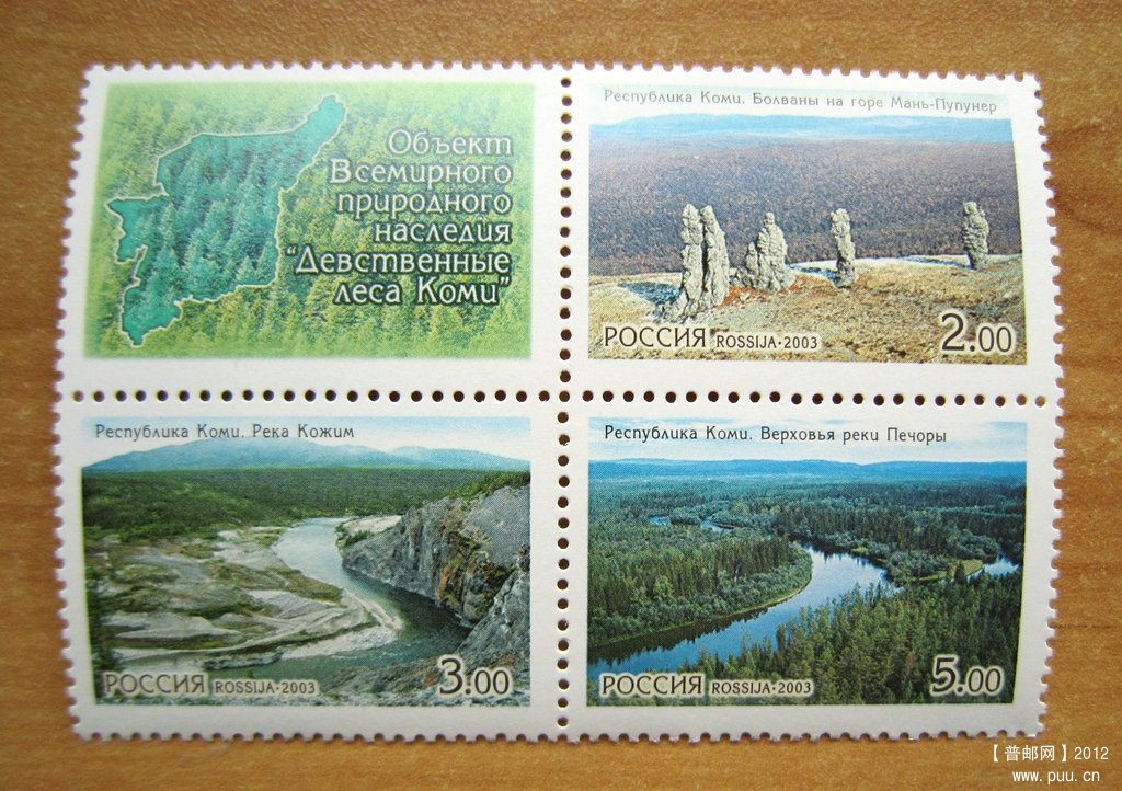 俄罗斯 科米原始森林.jpg