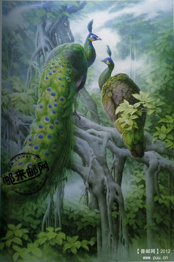 ”绿孔雀“小型张设计稿