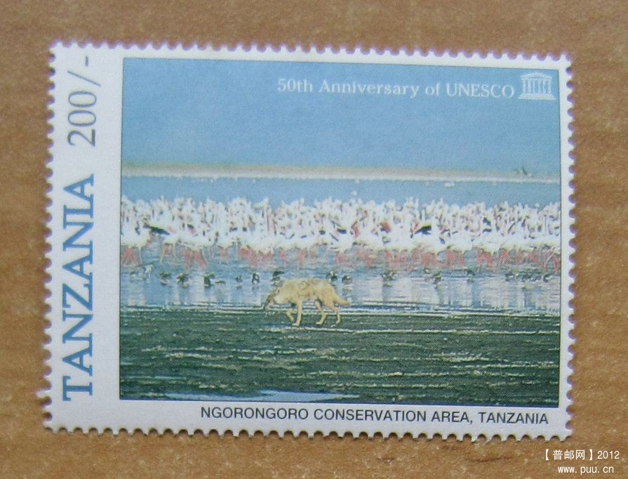 坦桑尼亚 恩戈罗恩戈罗自然保护区.jpg