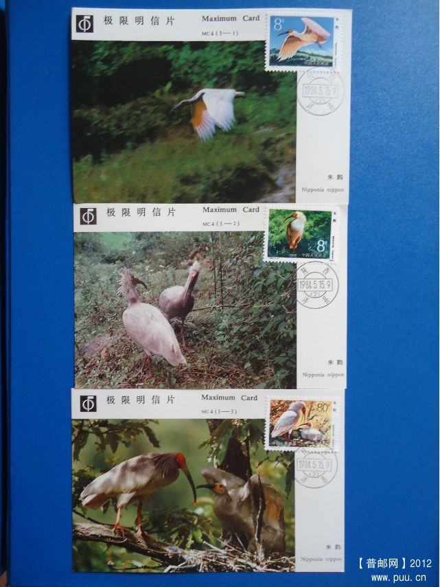 MC5 色不太艳 3-2这枚切裁小移位