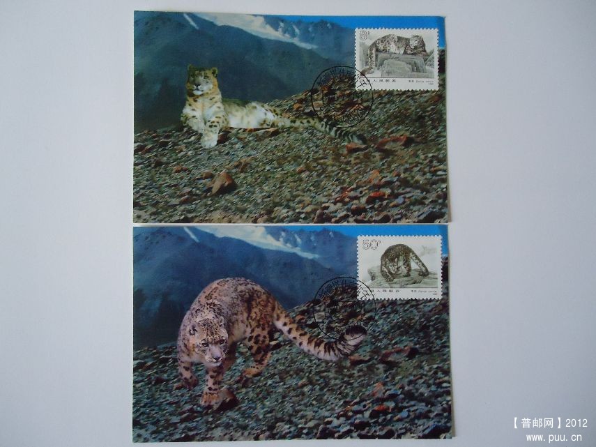 MC9 2枚都是同一处角折其它都好