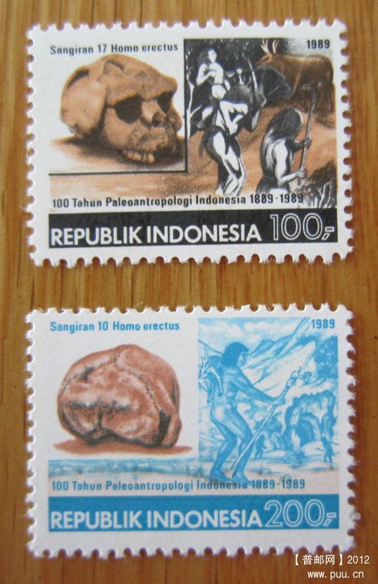 印度尼西亚 桑吉兰早期人类遗址【1989年发行印尼古人类研究所成立100周年：桑吉兰出土.jpg