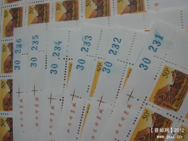 调整大小 IMG_6703.JPG