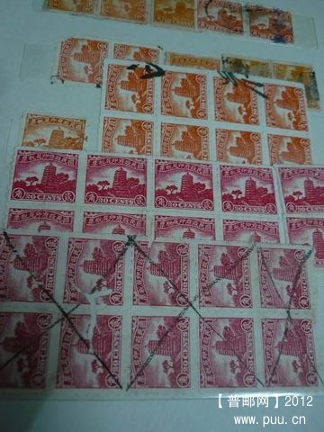 调整大小 P1000595.JPG