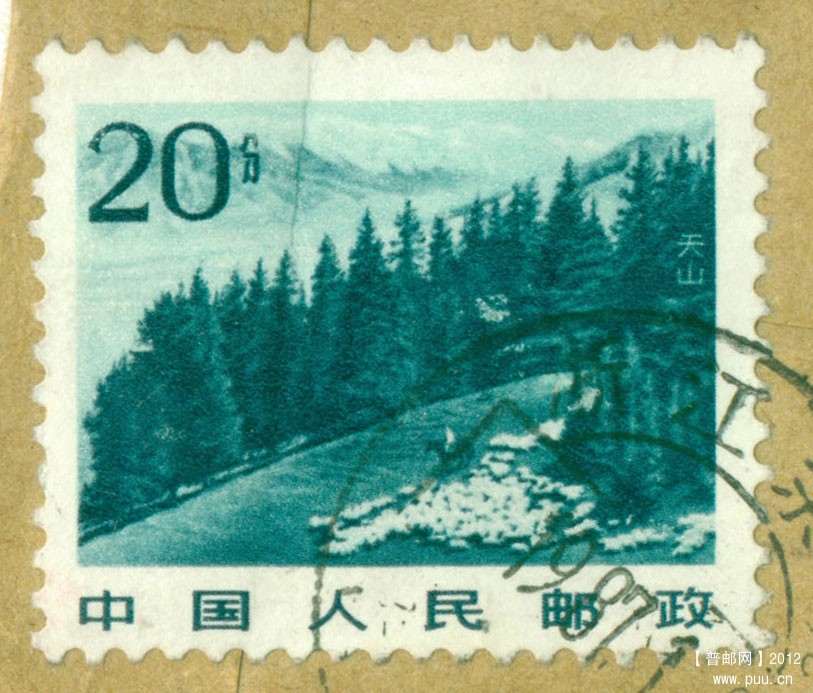 普22-天山变异.jpg
