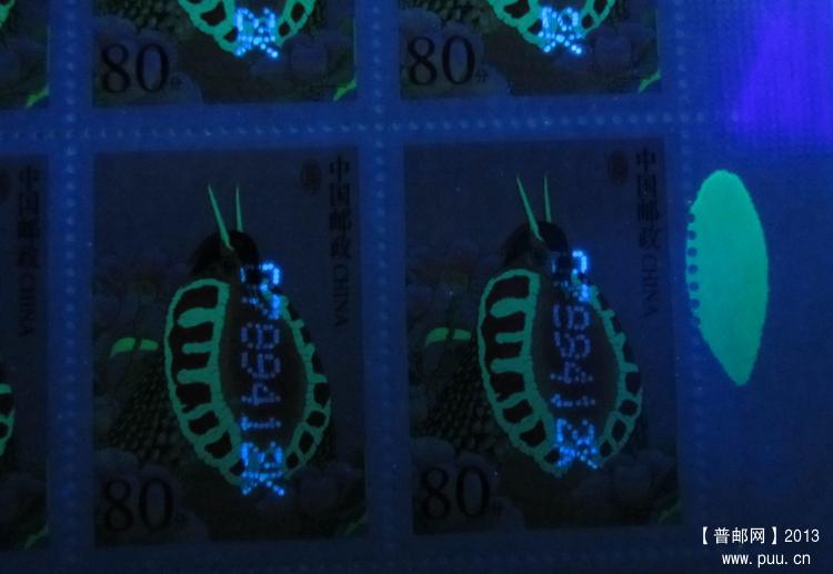 R31 80分蓝色污UV.jpg