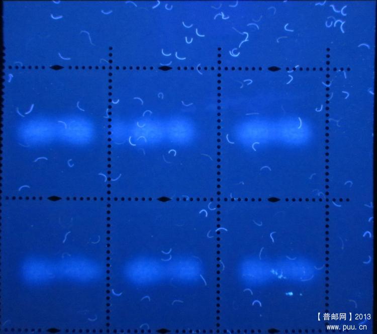 R30 80分B UV背.jpg