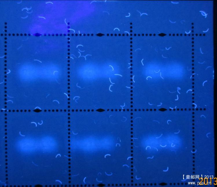 R30 80分C UV背.jpg