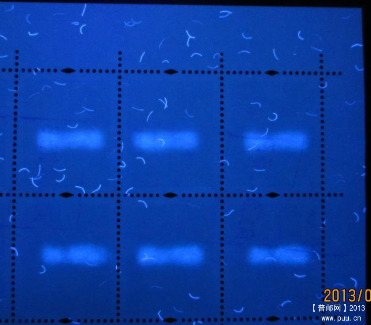 R30 80分D UV背.jpg