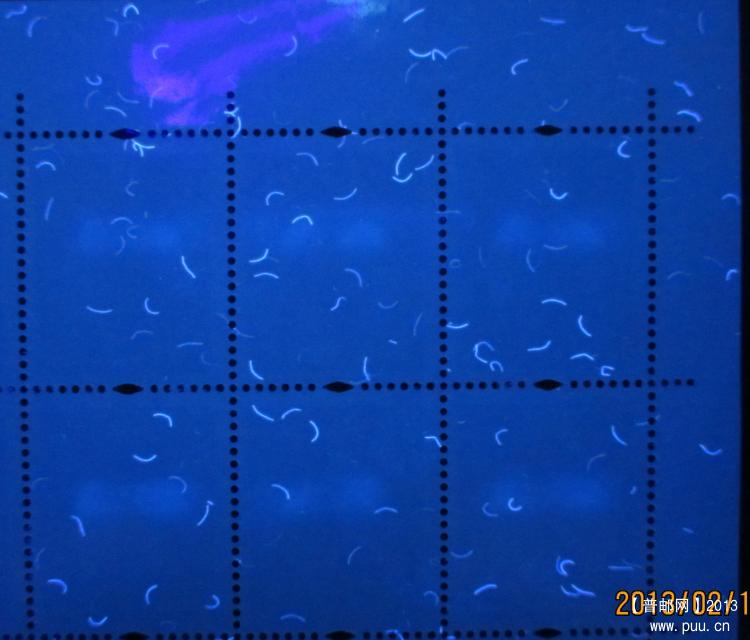 R30 80分E UV背.jpg