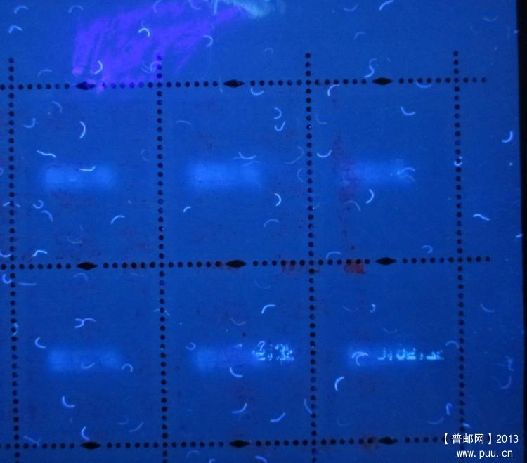 R30 80分F UV背.jpg