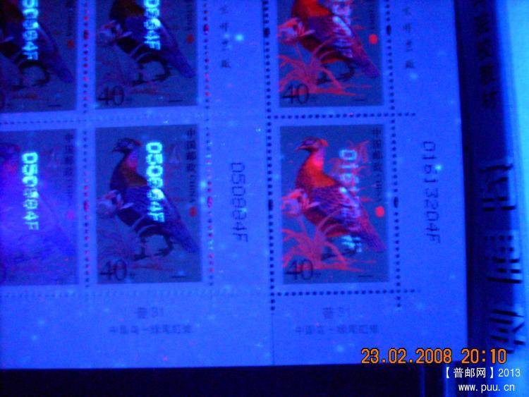 普31 40分F荧光油墨UV对比.jpg