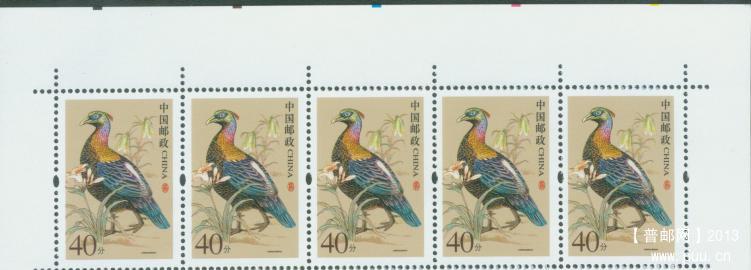 普31 40分边纸信息上.jpg