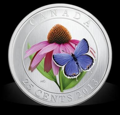 CUNi松果菊 蝶13.jpg