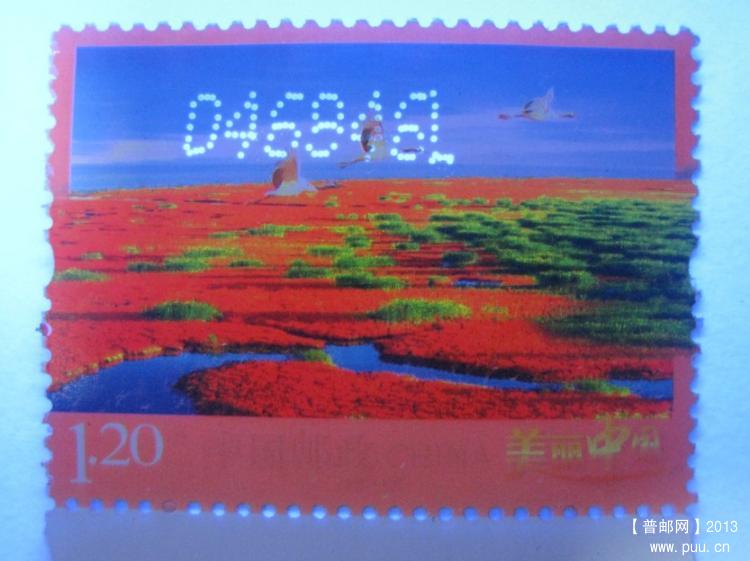 红海滩1（正面）.jpg