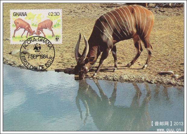加纳19840907肯尼亚林羚4-2角力X.jpg