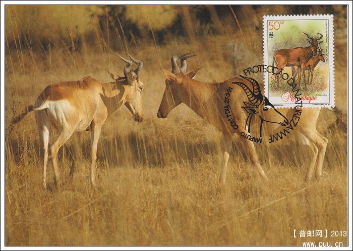莫桑比克19910327利氏麋羚4-1母子X.jpg