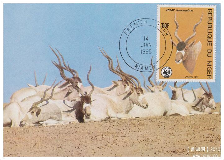 尼日尔19850614沙漠羚羊4-1旋角羚X.jpg