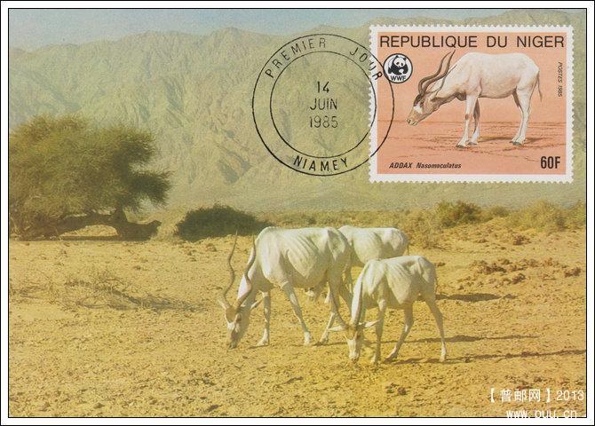尼日尔19850614沙漠羚羊4-2旋角羚X.jpg
