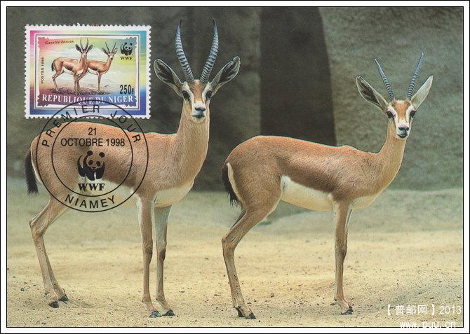 尼日尔19981021鹿羚4-1一对X.jpg