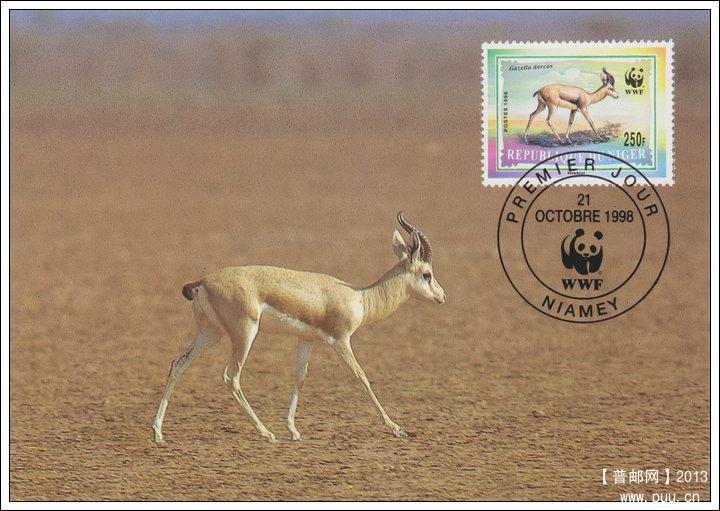尼日尔19981021鹿羚4-2雌羚X.jpg