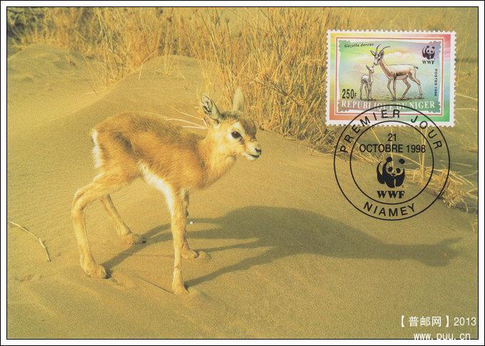 尼日尔19981021鹿羚4-4携子X.jpg