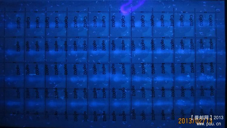 R30 10分A双码复喷背面UV.jpg