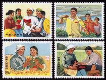 64)文17 知识青年在农村.jpg