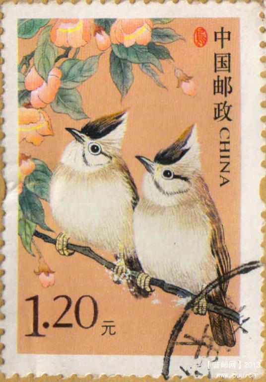 鸟票.jpg