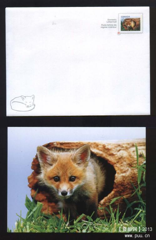 动物宝宝（幼小动物）邮资封1.jpg