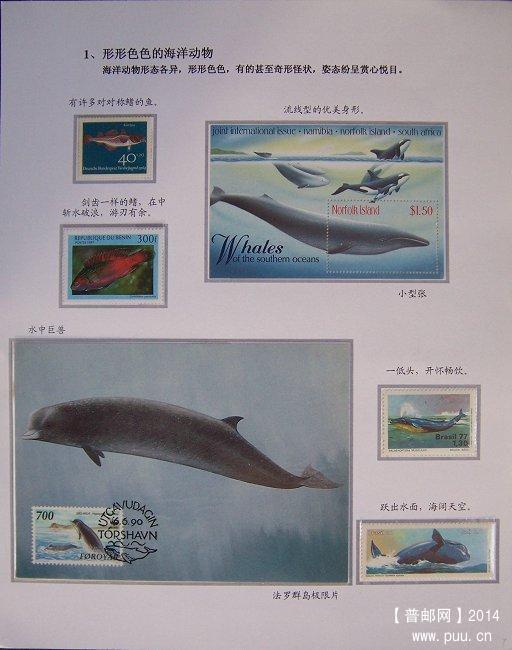 《海洋动物》专题邮集  07.JPG