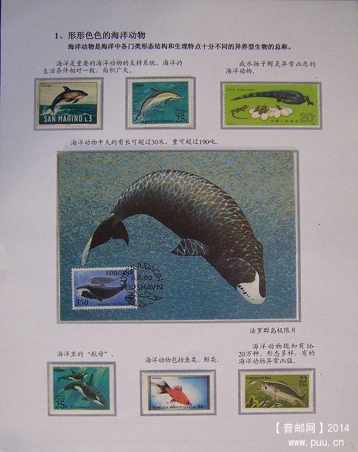 《海洋动物》专题邮集  03.JPG