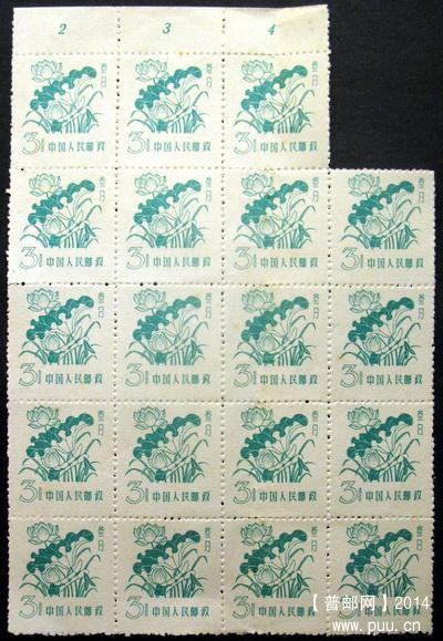 普8 3分19枚上号位大块.jpg