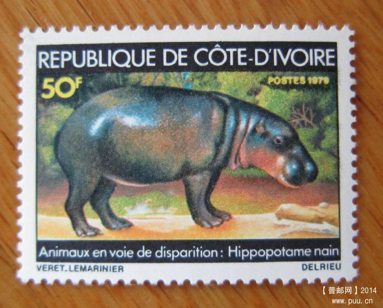 科特迪瓦 塔伊国家公园【1979年发行倭河马】.jpg
