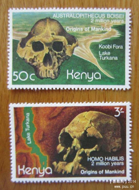 肯尼亚 图尔卡纳湖国家公园群【1982年发行出土的鲍氏南方古猿和能人头骨化石】.jpg.jpg