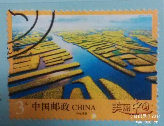 普32 兴化垛田局部小露白.jpg