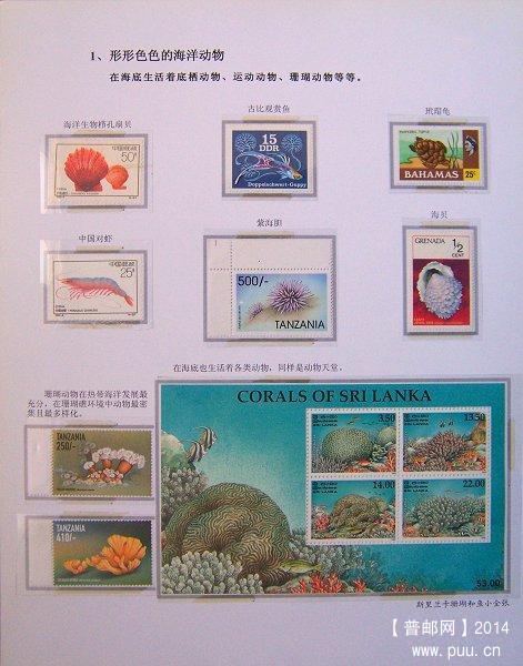 2x《海洋动物》邮集二  06.JPG