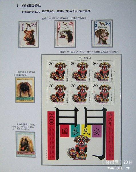 《狗》邮集 07.JPG