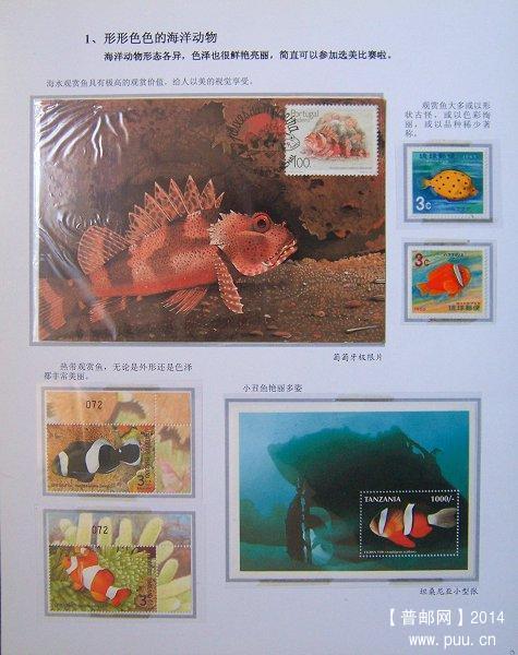 x《海洋动物》邮集二  09.JPG