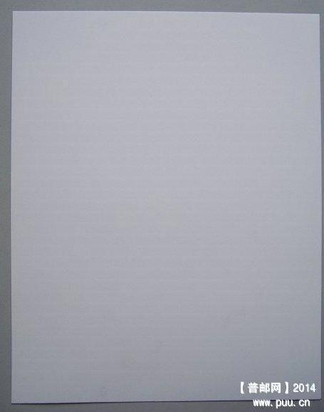 邮集专用贴片 23cm 29cm .jpg