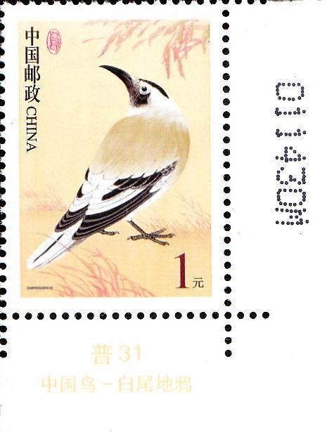 R 31 （1元 6 M）.jpg