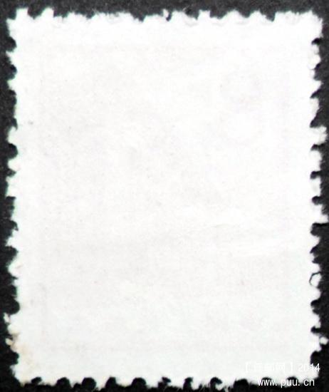 普13 8分毛齿背.JPG