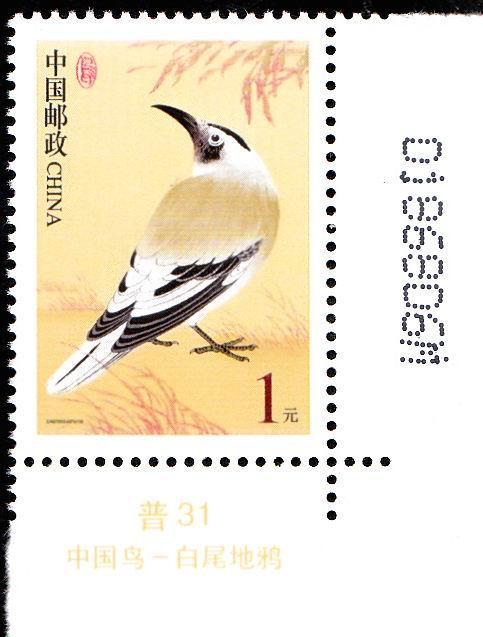 R 31 （1元 7 M）.jpg